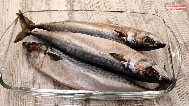 ВСЕ АХНУЛИ ? ЗАВАРИЛА СКУМБРИЮ в ГУСТОМ ЧАЕ❗