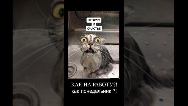 Как позволять себе говорить фразу НЕ ХОЧУ? смотреть онлайн