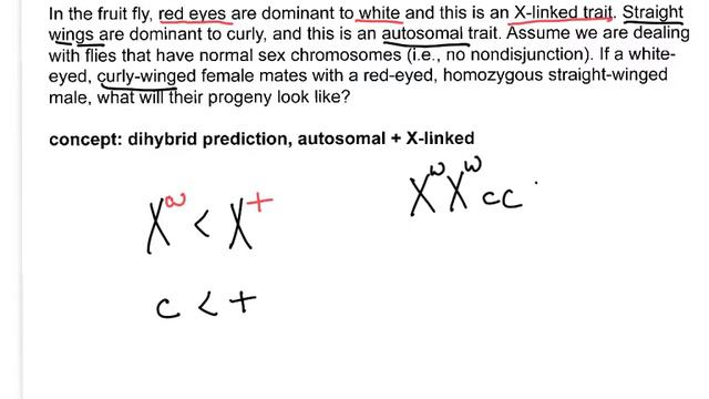 Genetics: not a problem. X-linked genes. смотреть онлайн