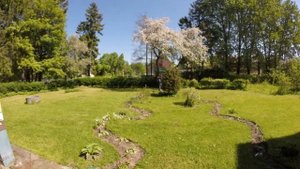 Покос травы 2015