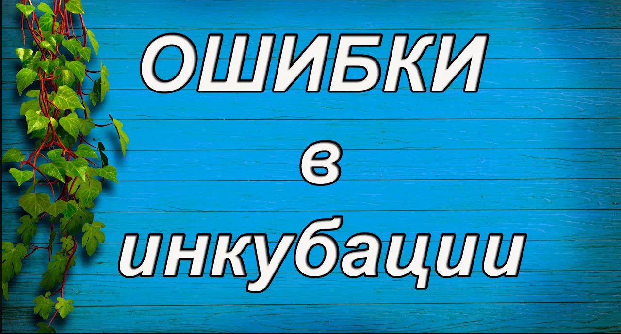 ОСНОВНЫЕ ОШИБКИ при инкубации яиц. 100% ВЫВОД!