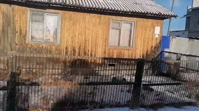 Предлагаю домик в с.Онохино 28 кв, рядом с рекой