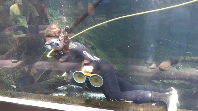 Лень мыть окно? Смотри этот ролик. смотреть онлайн