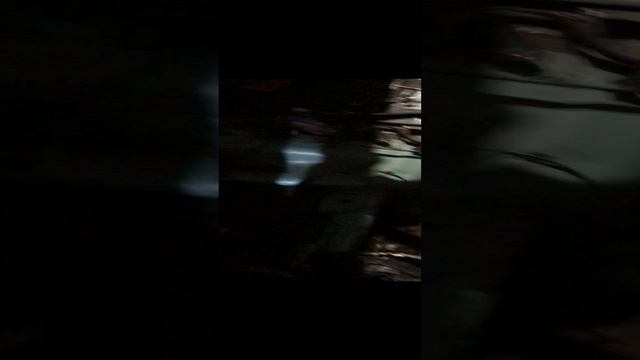 Соберись смотреть онлайн