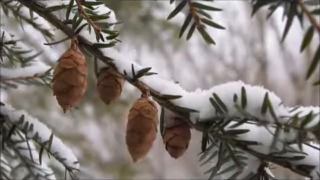 В. Чураев (группа "Гриван") "Привет, ЗИМА!" смотреть онлайн