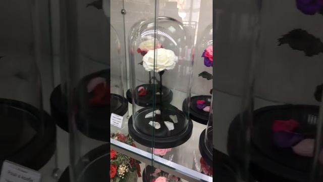 Крым Ялта Живые Стабилизированные Цветы Вечная Роза в Колбе . Неувядающие 5 Лет Розы смотреть онлайн