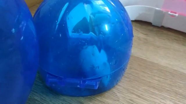 ВИСЛОУХАЯ КОШКА И ХОМКИ ? ЛАБИРИНТ ДЛЯ ХОМЯКОВ - РЕАКЦИЯ КОШКИ ХЛОИ ? CAT & HAMSTERS