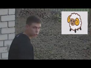 202304231355 ещё один представитель благородных пород