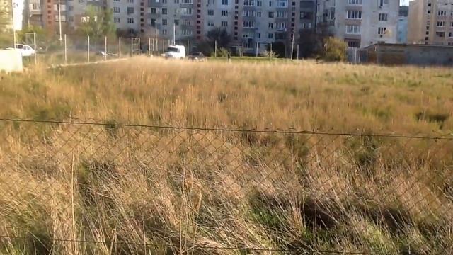 Челноковский дворик д.90 смотреть онлайн