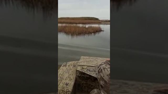 Каракат "САДКО" трудные места Охота на утку! смотреть онлайн