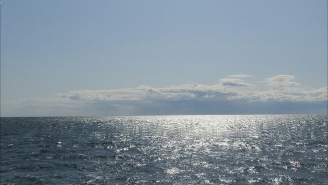 Просторы моря-наши адреса