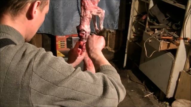 Охота на пушных  Выделка шкуры   Часть 1 смотреть онлайн