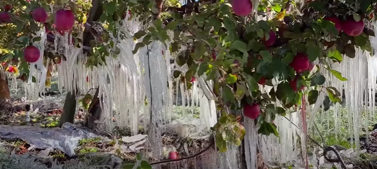 Ледяной водопад из яблок смотреть онлайн