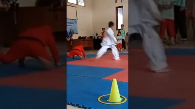 Ju-jitsu Kids Sport game