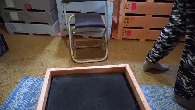 Расширяем ассортимент. Маточный червь + малек + коконы. смотреть онлайн