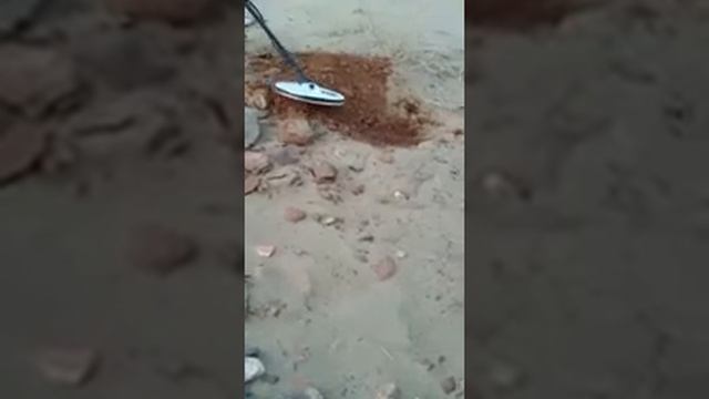 Gpx 6000 Minelab #golddetector #metaldetector #golddetectorindia