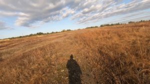 Охота на перепела. Тест патронов. (День второй).