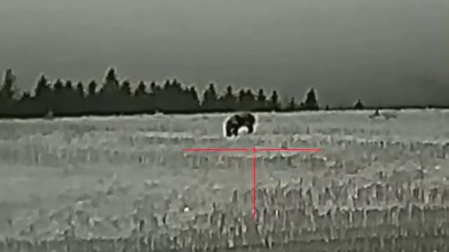 Lahoux Sight 35 - kňour cca 200 m смотреть онлайн