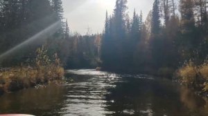 Реки  Сибири  Каменка