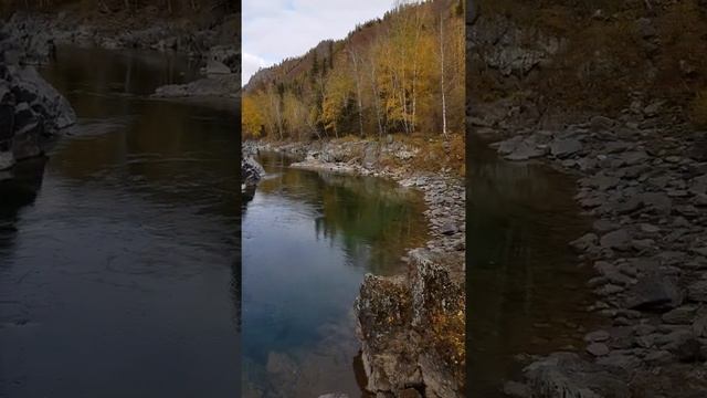 Девичьи плёсы река Кумир Алтайский край чарышский район