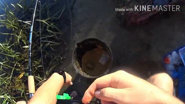 Рыбалка июль 2020 . смотреть онлайн