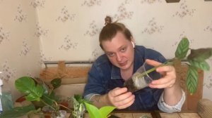 Распаковка новых растений .10 новых растений !Растения по почте .(2 часть)