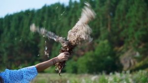 КУПИЛ 2 ДОМА В ДЕРЕВНЕ | ЖИЗНЬ В ДЕРЕВНЕ | ГУСЛИ И ПРОЩАНИЕ С ЛЕТОМ