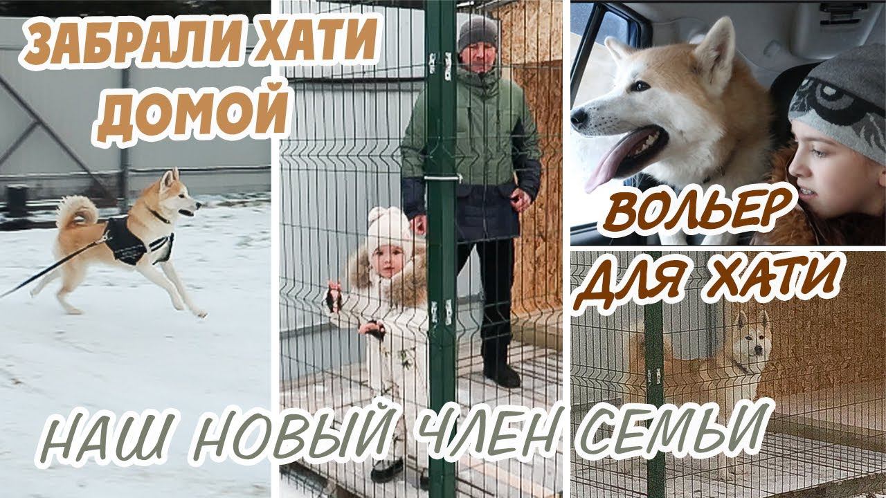 ЗАБРАЛИ ХАТИ ДОМОЙ/ЗАВЕЛИ СОБАКУ/ДИМА ПОСТРОИЛ ВОЛЬЕР ДЛЯ ХАТИ/ смотреть онлайн