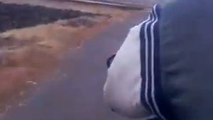 По непонятным причинам Муравей плохо едит (