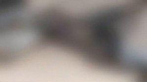 💥Gamo CFX ТЮНИНГ. 280 м/с /// Gamo CFX TUNING 280 m / s