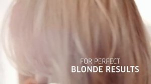 Wellaplex презентация нового продукта 2017