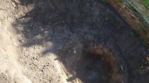 Как бюджетно сделать пруд на даче