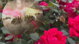Вот, Я начертал тебя на дланях Моих #христианский #стих (читает автор Анна Юркин)