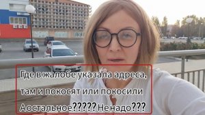 Благодарю всех кто проголосовал за меня. Про АМБРОЗИЮ