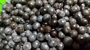 тернослив, терновник, полезная ягода.