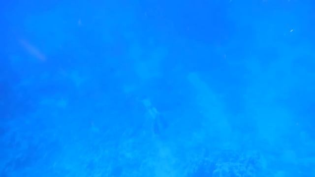 Фридайвинг Красное море Египет погружение на 20 метров вдоль кораллового рифа. Freediving red sea