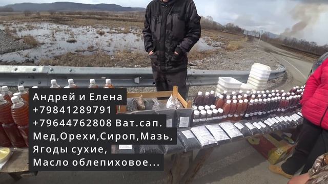 КУПИЛИ ПЧЕЛ. МЫ СНОВА В ИГРЕ))) смотреть онлайн