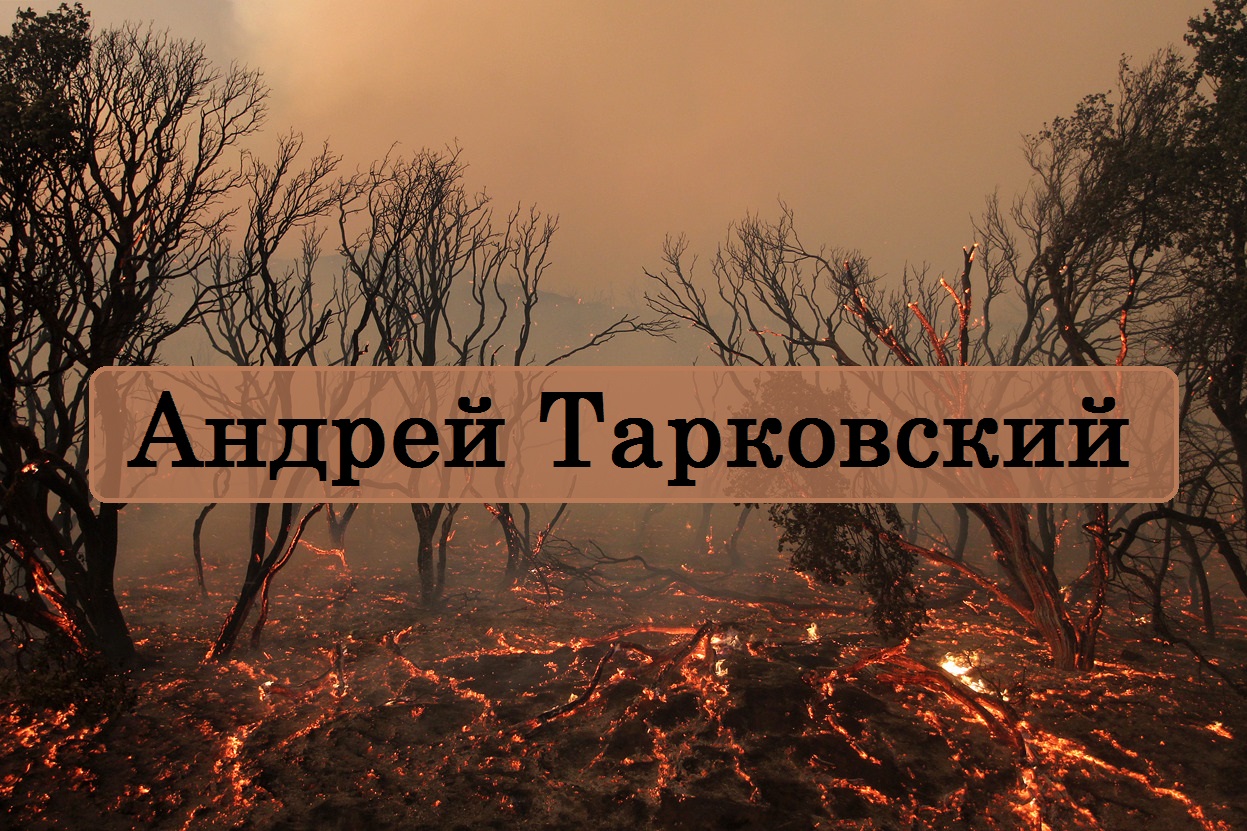 Андрей Тарковский