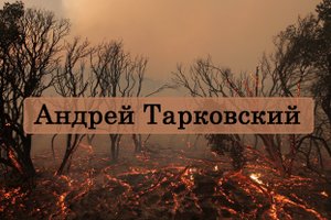 Андрей Тарковский