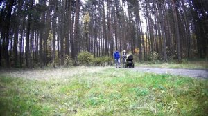 Осенняя коллекция. KORG PA 600 + PA 1000 Авторская.