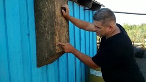 Кормушки для свиней своими руками. Вьетнамские свиньи