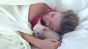 Девушке подарили собаку.  Подарок любимой в постель в России