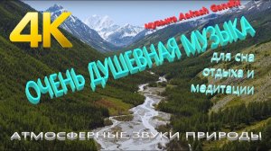 #Душевная музыка для сна медитации и отдыха  #Природа с высоты птичьего полёта густая растительность