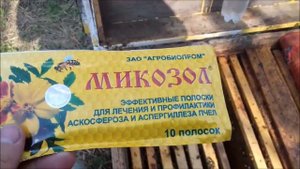 Лечим пчел от аскосфероза и варроатоза!!!