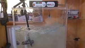 HasWing W-20 motor test