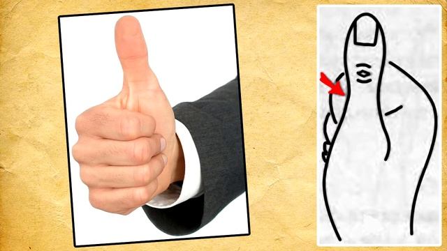 ШИРИНА ВТОРОЙ ФАЛАНГИ большого пальца / хиромантия / Кладезь Хиромантии смотреть онлайн