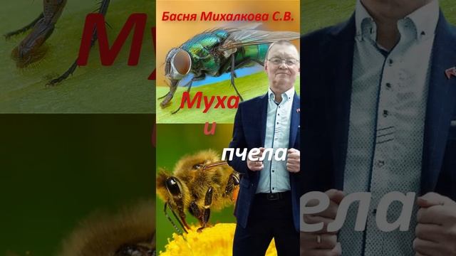 Муха и пчела. Басня Михалкова С.  в моём прочтении.