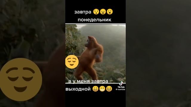 понедельник у меня выходной