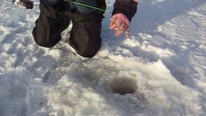 окунь зимой на черта(или балду)