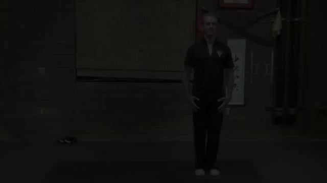 Real Ba Gua Fighting - 8 Moves, Internal Kung Fu! смотреть онлайн